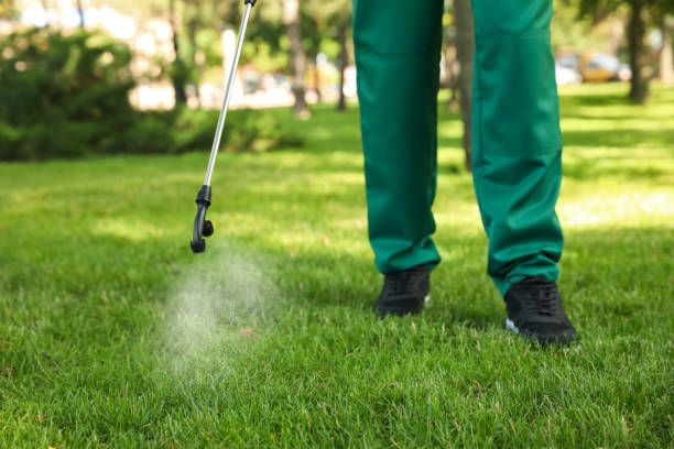 Best Pest Control Near Me  in Littleton Common, MA