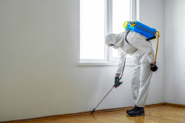 Best Pest Prevention Services  in Littleton Common, MA