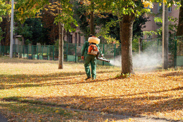 Reliable Littleton Common, MA Pest Control Solutions