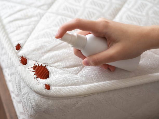 Best Emergency Pest Control  in Littleton Common, MA