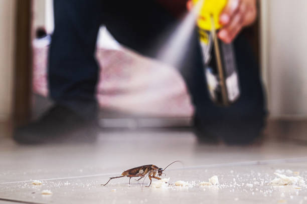 Best Pest Removal Services  in Littleton Common, MA